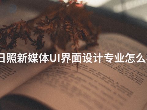 日照新媒体UI界面设计专业怎么样(图1)