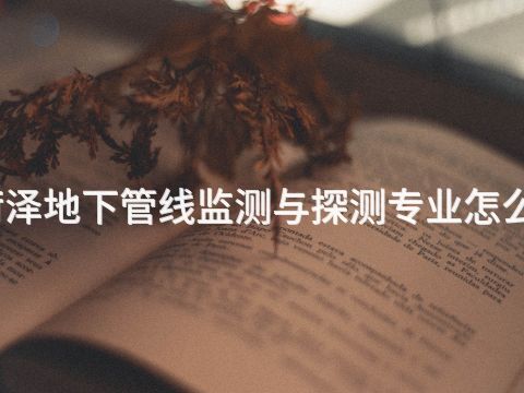 菏泽地下管线监测与探测专业怎么样