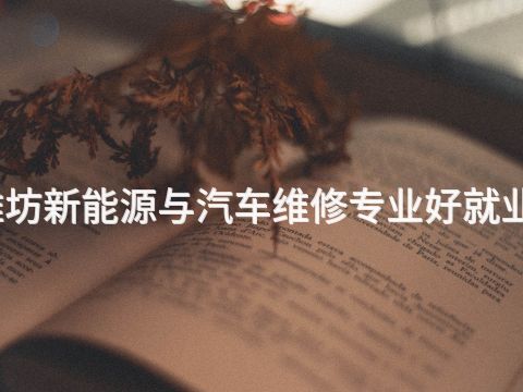 潍坊新能源与汽车维修专业好就业吗(图1) 潍坊新能源与汽车维修专业好就业吗(图1)