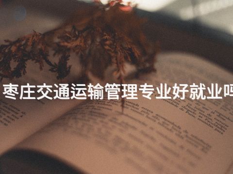 枣庄交通运输管理专业好就业吗(图1) 枣庄交通运输管理专业好就业吗(图1)