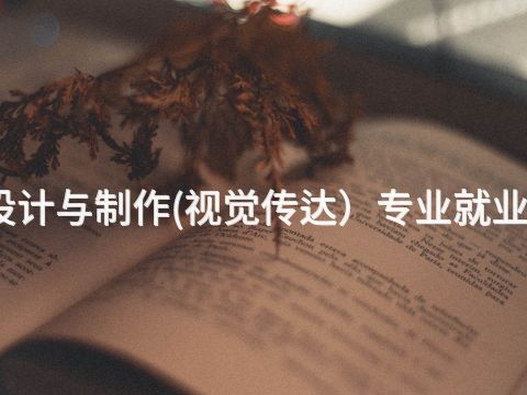 北京艺术设计与制作(视觉传达）专业就业前景怎么样