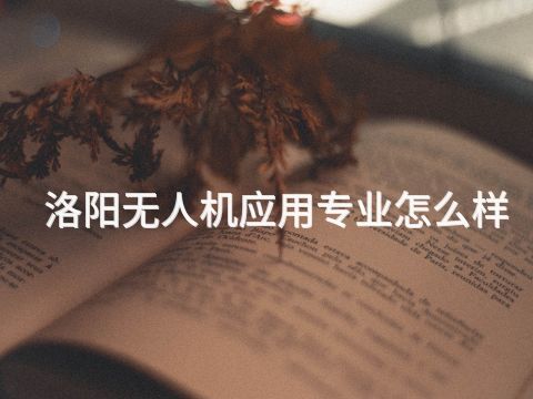 洛阳无人机应用专业怎么样