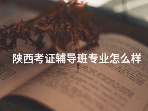 陕西考证辅导班专业怎么样