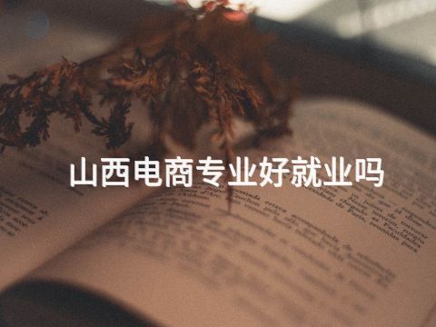 山西电商专业好就业吗(图1) 山西电商专业好就业吗(图1)