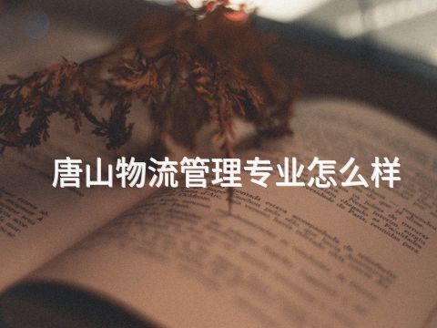 唐山物流管理专业怎么样(图1) 唐山物流管理专业怎么样(图1)
