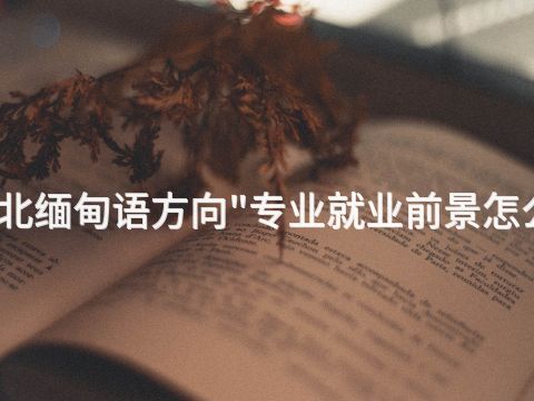 河北緬甸語方向"專業就業前景怎么樣
