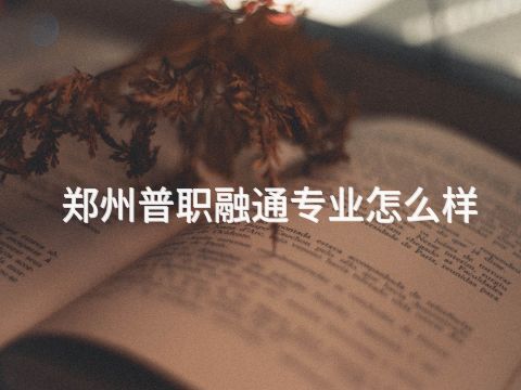 郑州普职融通专业怎么样(图1)