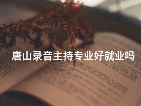 唐山录音主持专业好就业吗(图1)