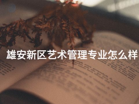 雄安新区艺术管理专业怎么样