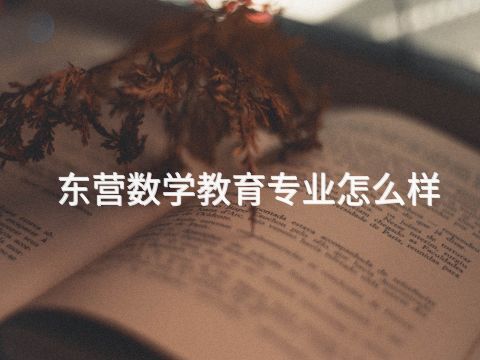 东营数学教育专业怎么样