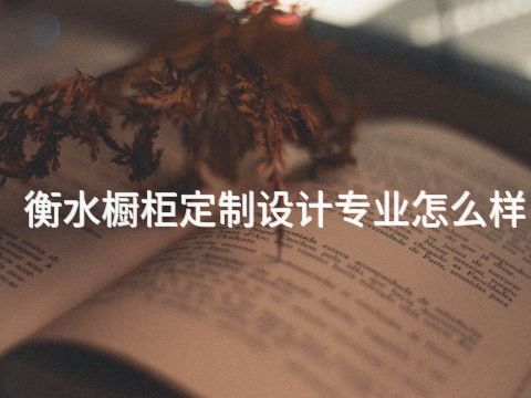 衡水橱柜定制设计专业怎么样(图1) 衡水橱柜定制设计专业怎么样(图1)