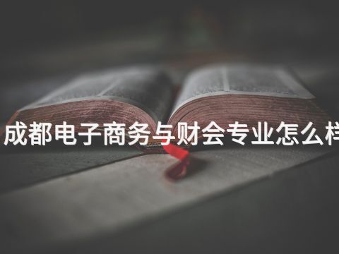 成都电子商务与财会专业怎么样(图1) 成都电子商务与财会专业怎么样(图1)