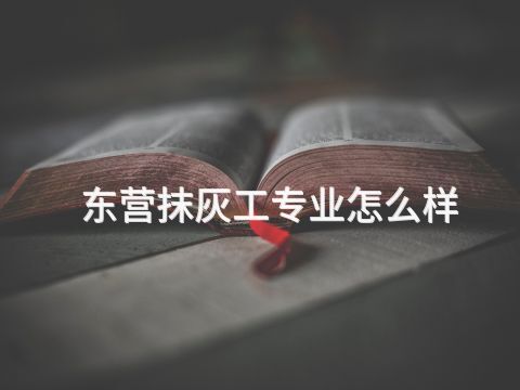 东营抹灰工专业怎么样