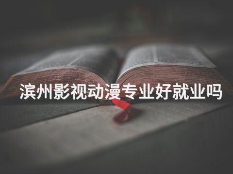 滨州影视动漫专业好就业吗