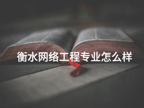 衡水网络工程专业怎么样