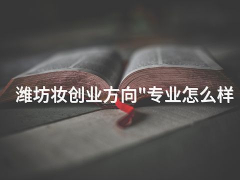 潍坊妆创业方向"专业怎么样