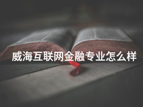 威海互聯網金融專業怎么樣(圖1) 威海互聯網金融專業怎么樣(圖1)