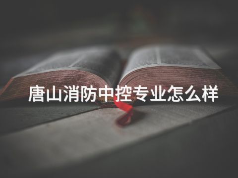 唐山消防中控專業(yè)怎么樣(圖1) 唐山消防中控專業(yè)怎么樣(圖1)