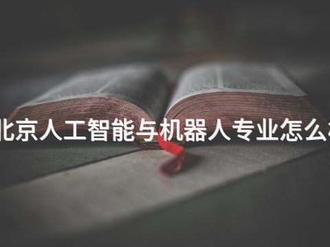 北京人工智能与机器人专业怎么样
