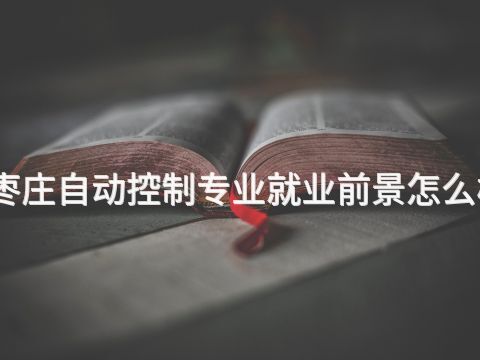 枣庄自动控制专业就业前景怎么样(图1) 枣庄自动控制专业就业前景怎么样(图1)