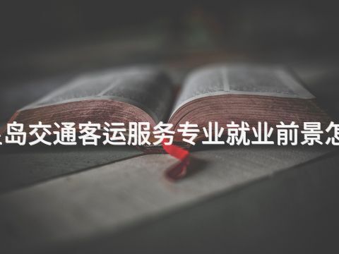 秦皇岛交通客运服务专业就业前景怎么样(图1)