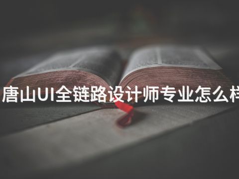 唐山UI全链路设计师专业怎么样