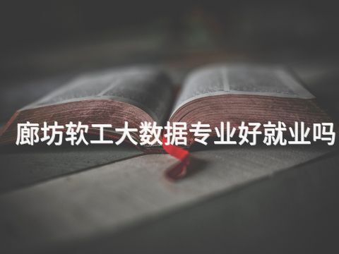 廊坊软工大数据专业好就业吗(图1) 廊坊软工大数据专业好就业吗(图1)