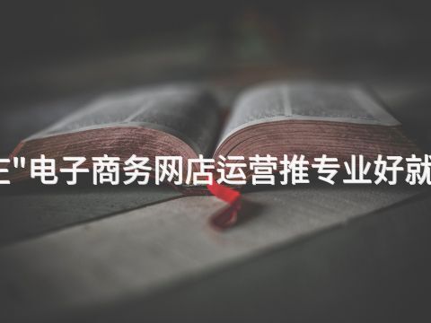 枣庄"电子商务网店运营推专业好就业吗