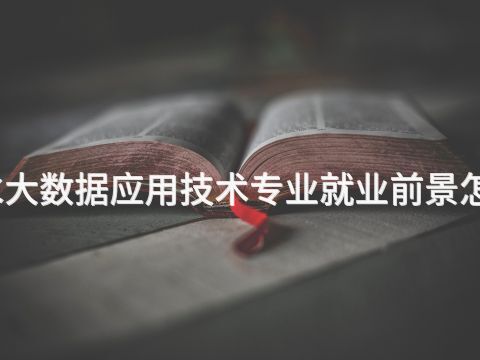 衡水大数据应用技术专业就业前景怎么样(图1) 衡水大数据应用技术专业就业前景怎么样(图1)