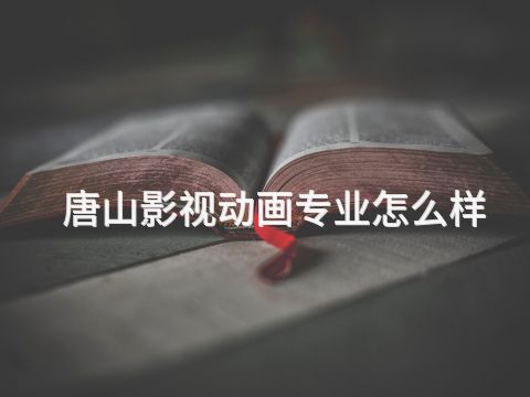 唐山影视动画专业怎么样