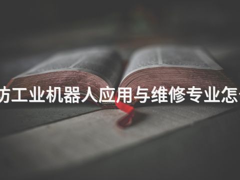 廊坊工业机器人应用与维修专业怎么样