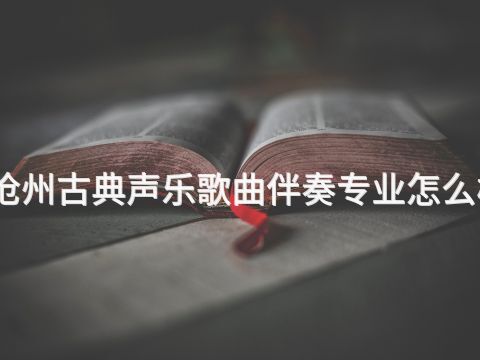 滄州古典聲樂歌曲伴奏專業怎么樣
