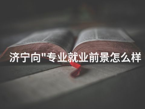 济宁向"专业就业前景怎么样(图1) 济宁向"专业就业前景怎么样(图1)