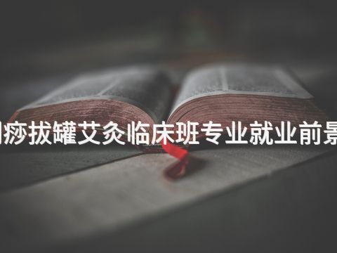 新乡刮痧拔罐艾灸临床班专业就业前景怎么样