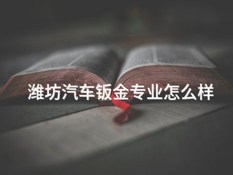 潍坊汽车钣金专业怎么样