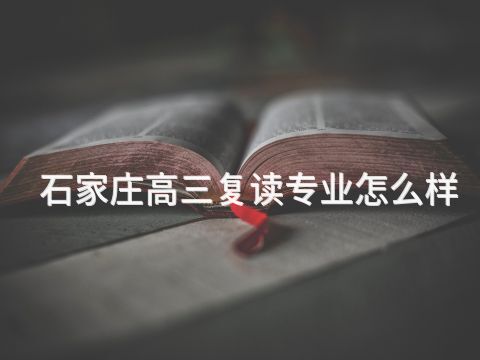 石家庄高三复读专业怎么样