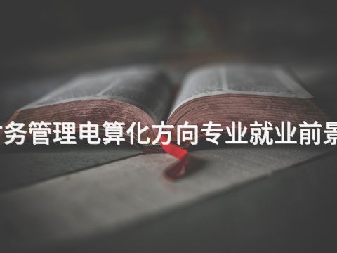 枣庄财务管理电算化方向专业就业前景怎么样(图1) 枣庄财务管理电算化方向专业就业前景怎么样(图1)