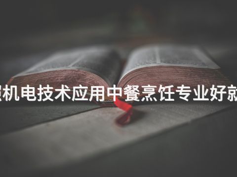 日照机电技术应用中餐烹饪专业好就业吗