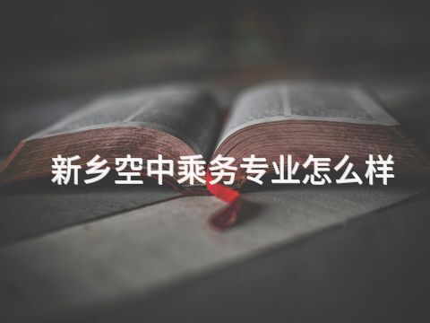 新乡空中乘务专业怎么样