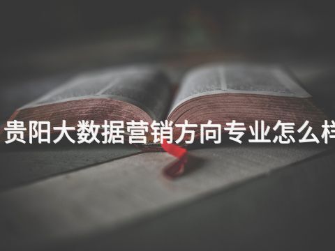 贵阳大数据营销方向专业怎么样