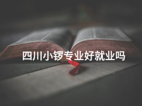 四川小锣专业好就业吗(图1) 四川小锣专业好就业吗(图1)