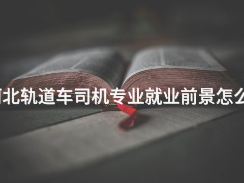 河北轨道车司机专业就业前景怎么样(图1)