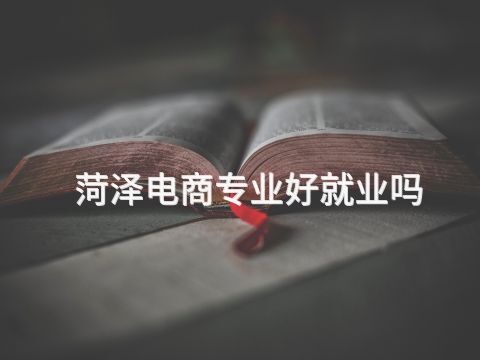 菏泽电商专业好就业吗(图1) 菏泽电商专业好就业吗(图1)