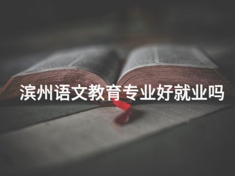 滨州语文教育专业好就业吗
