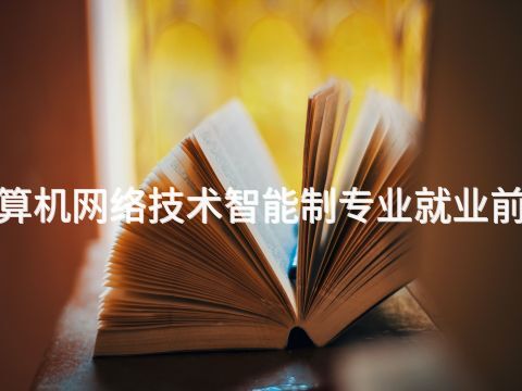 邯郸"计算机网络技术智能制专业就业前景怎么样