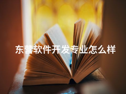 东营软件开发专业怎么样
