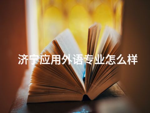 济宁应用外语专业怎么样