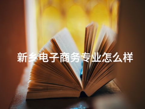 新鄉(xiāng)電子商務(wù)專業(yè)怎么樣