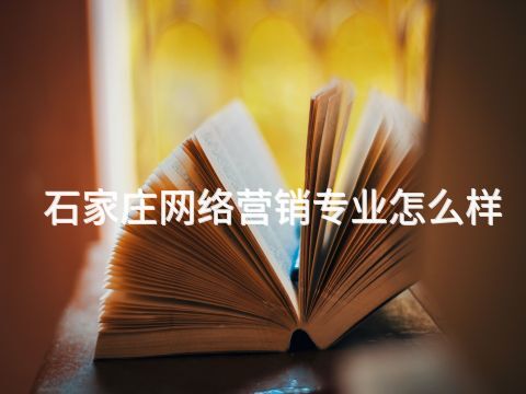 石家莊網(wǎng)絡(luò)營銷專業(yè)怎么樣