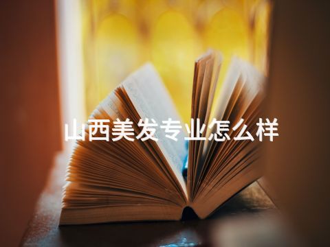 山西美发专业怎么样